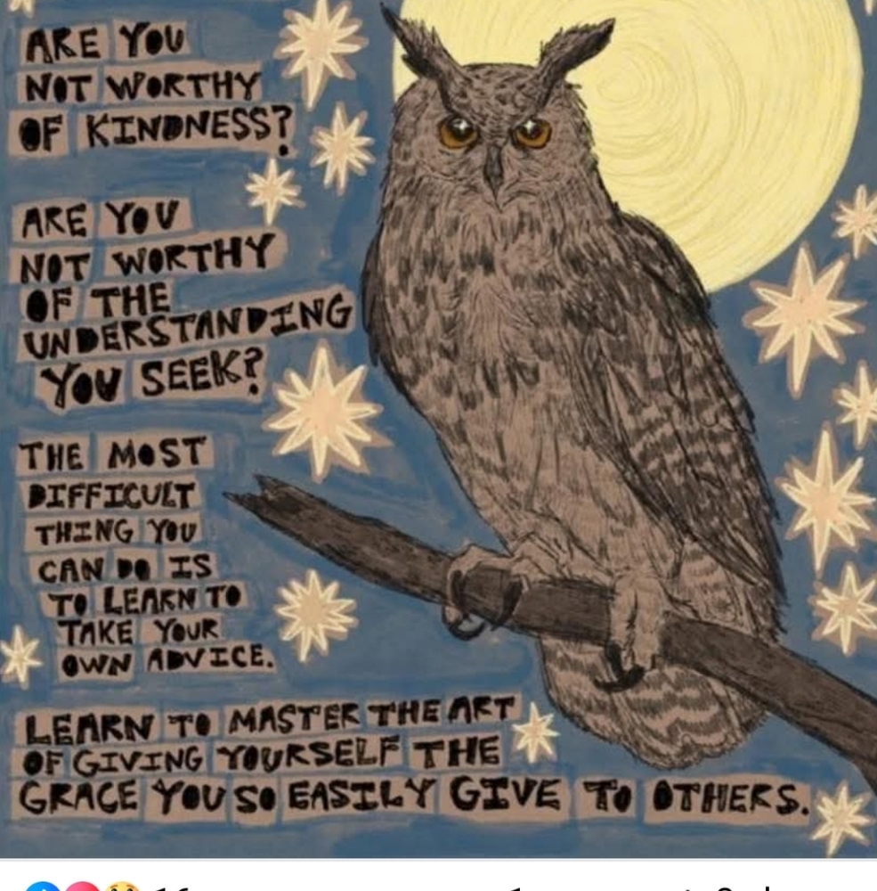 L to Plus, Contemporary to Vintage